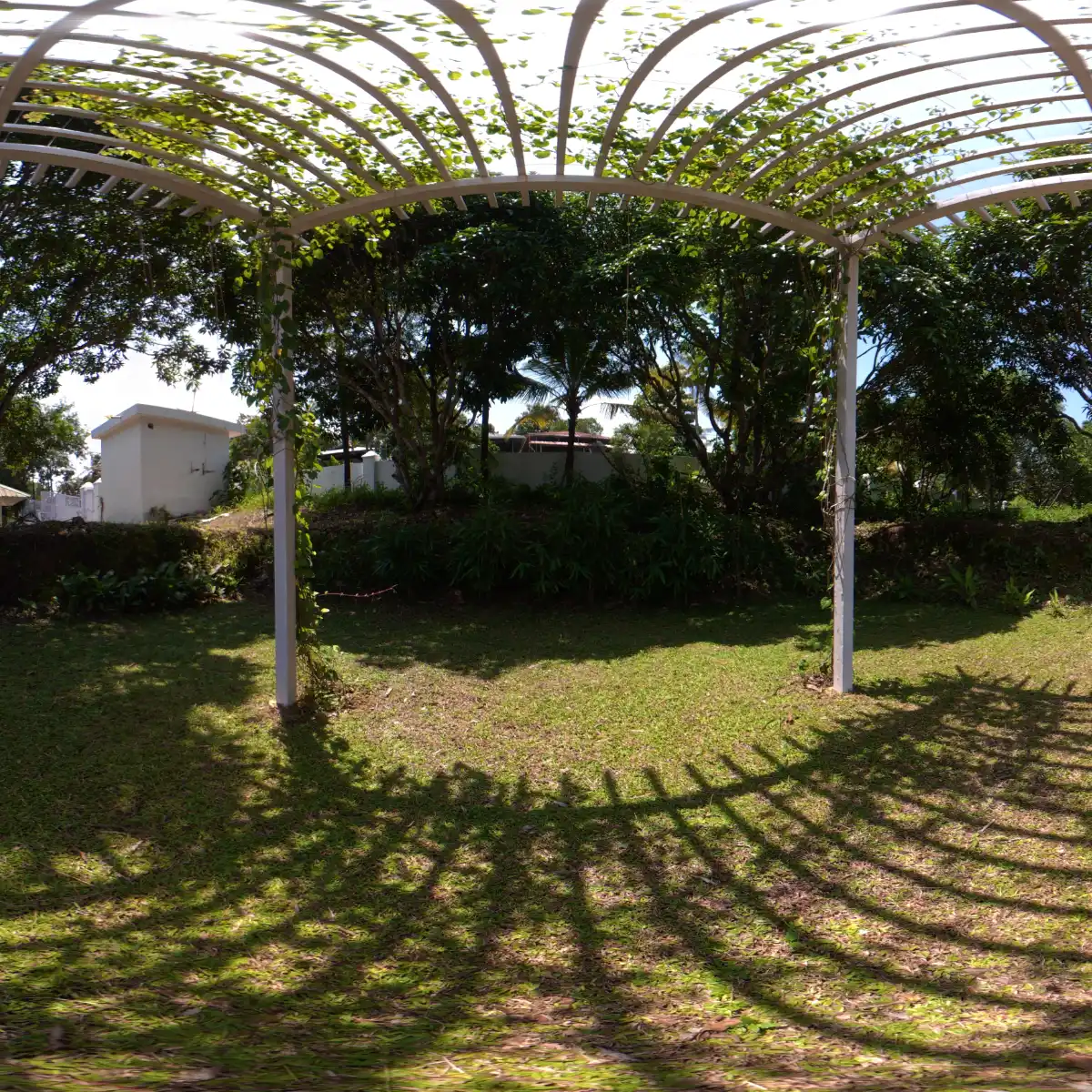 Open Lawn